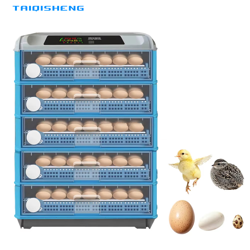Power Supply 12V - Automatische Intelligente 500 Eierenbroedmachine Dubbele Stroomvoorziening